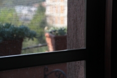 Camera in affitto con tv e internet fibra.